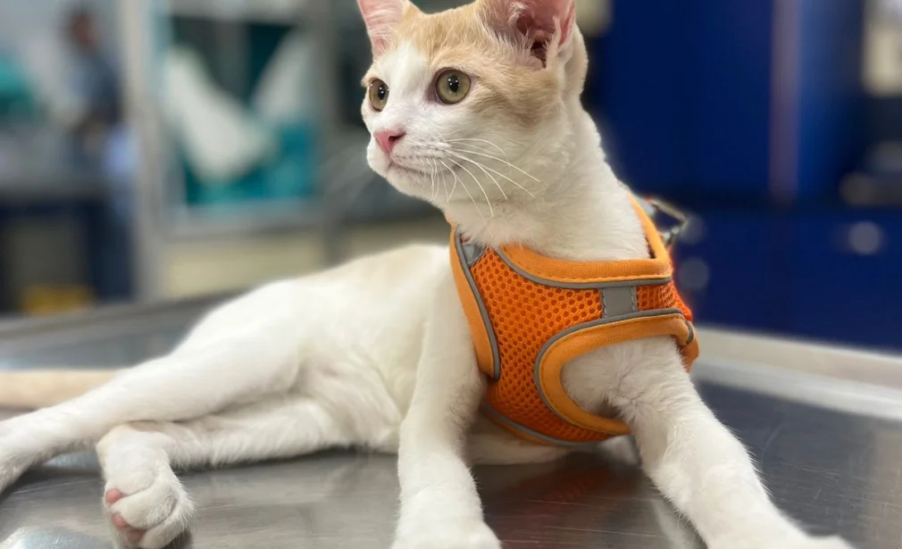 Clinic photo