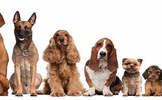 Clinic photo