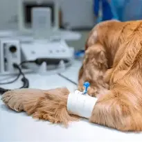 Clinic photo