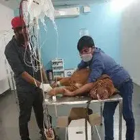 Clinic photo