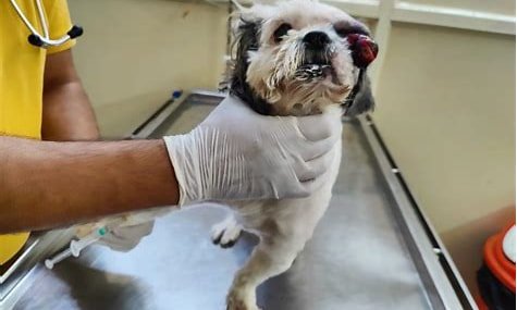 Clinic photo