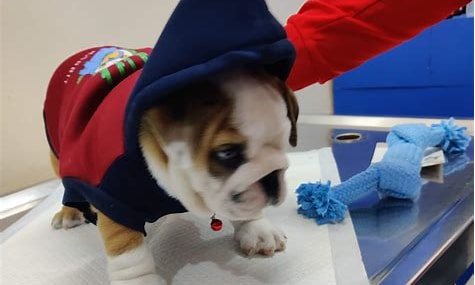 Clinic photo