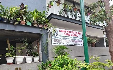 Clinic photo