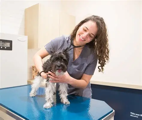 Clinic photo