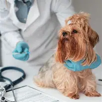 Clinic photo