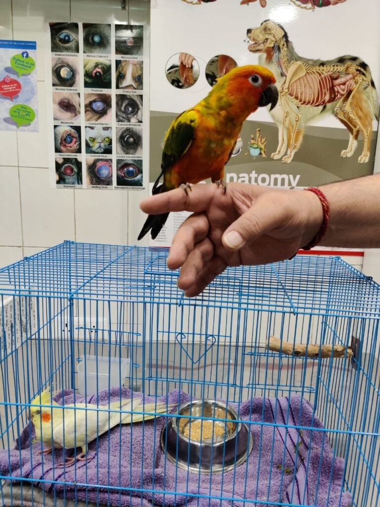 Clinic photo