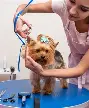 Clinic photo