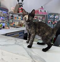 Clinic photo