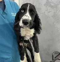Clinic photo