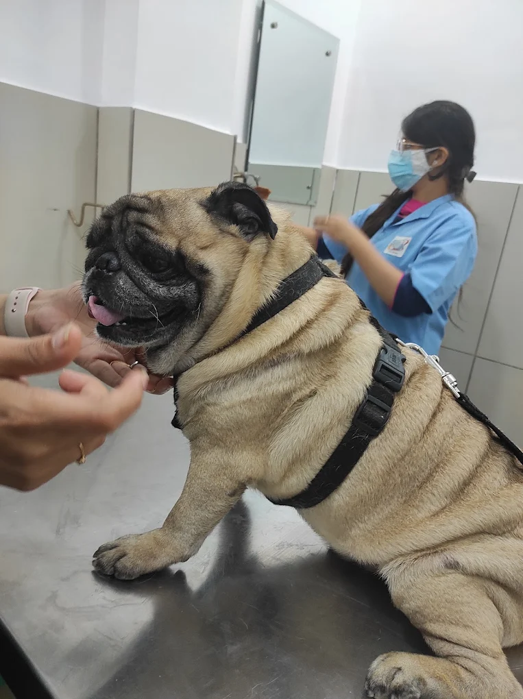 Clinic photo