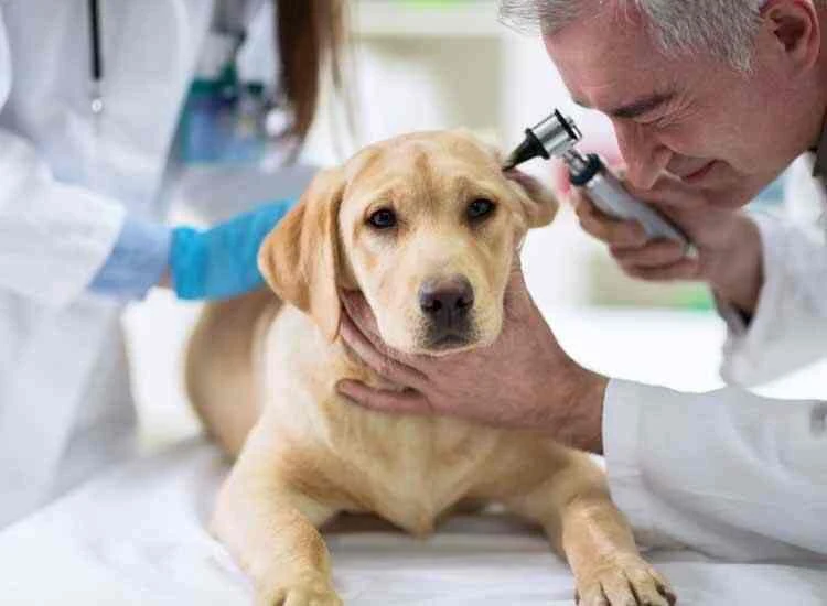 Clinic photo