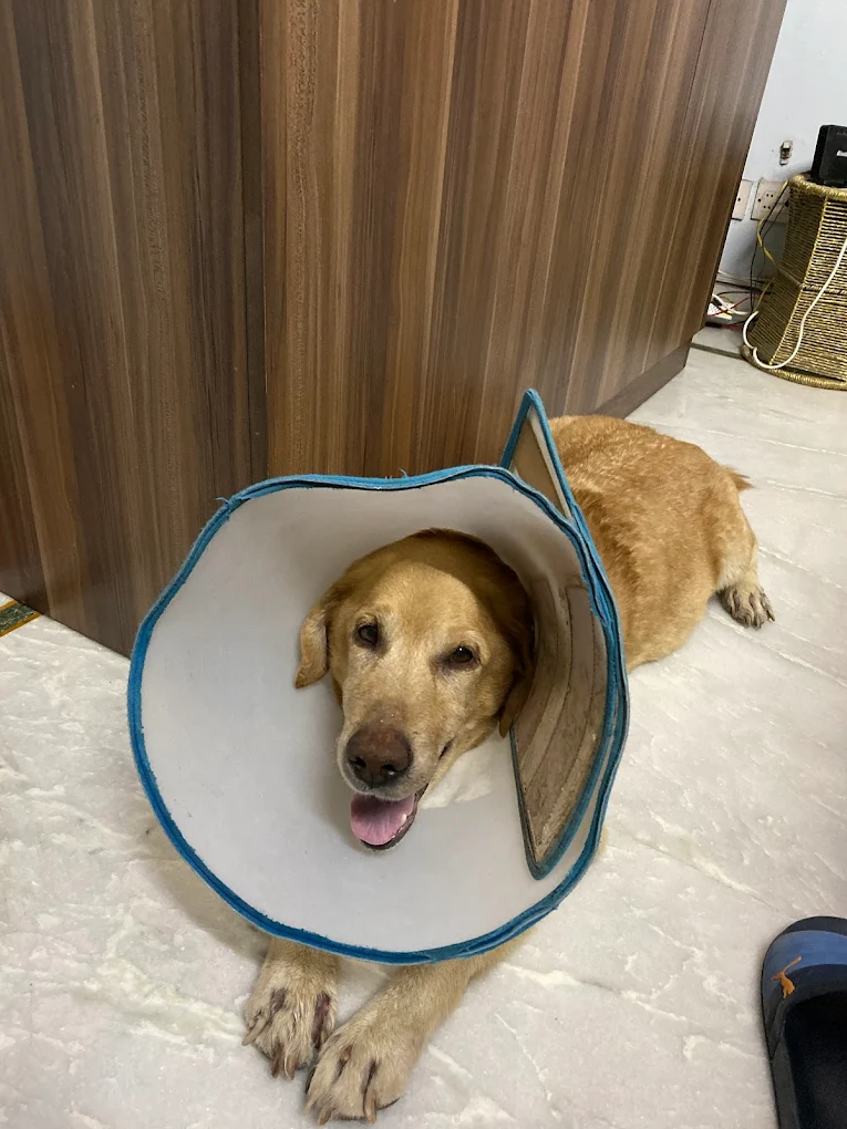 Clinic photo