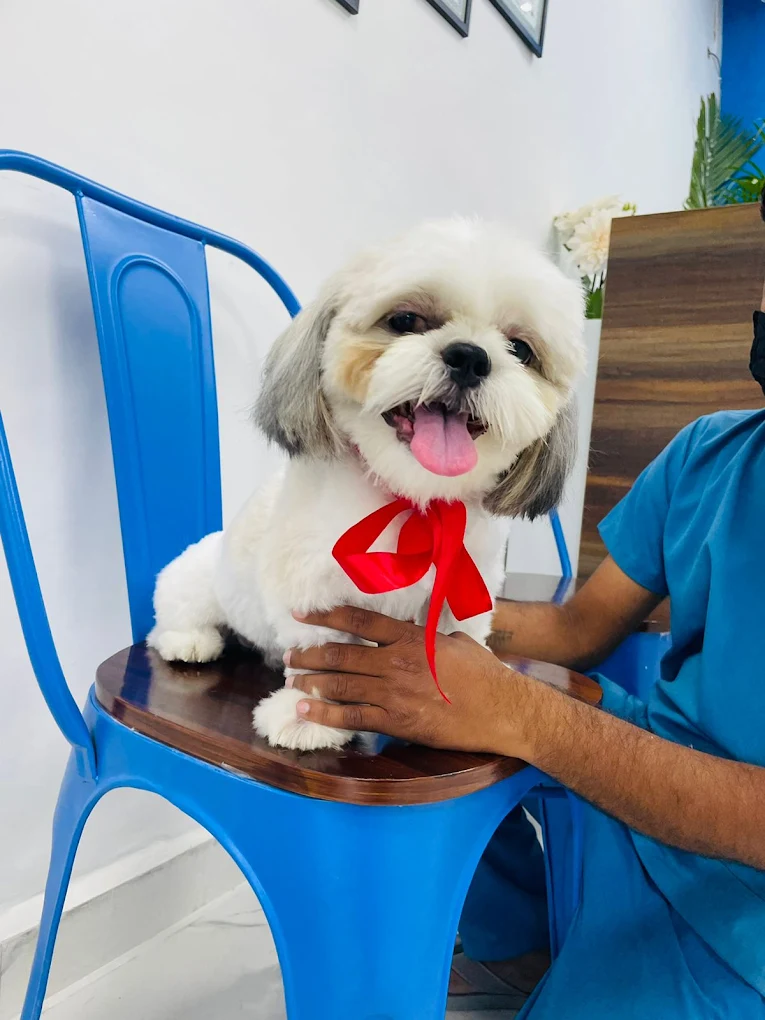 Clinic photo