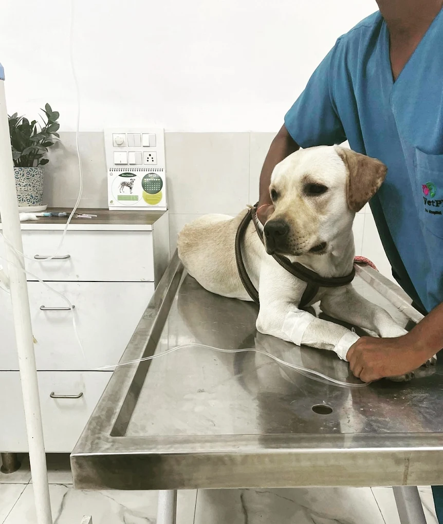 Clinic photo