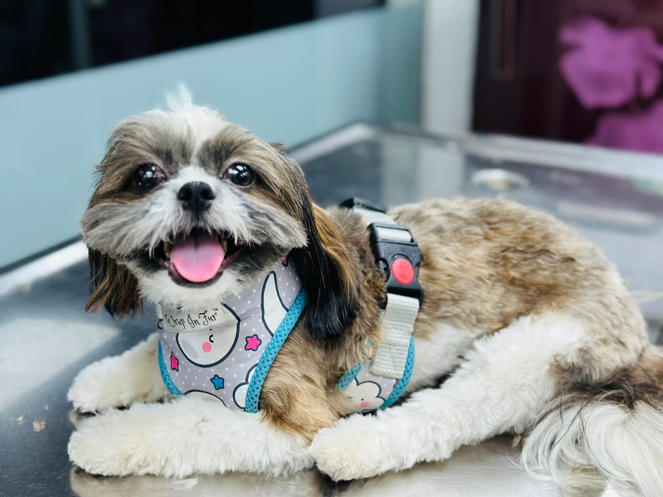 Clinic photo
