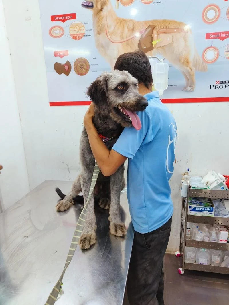 Clinic photo
