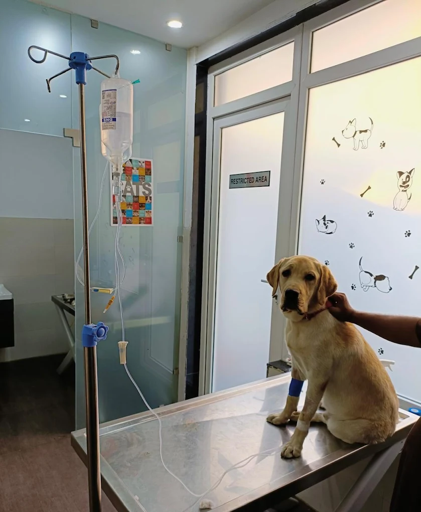 Clinic photo