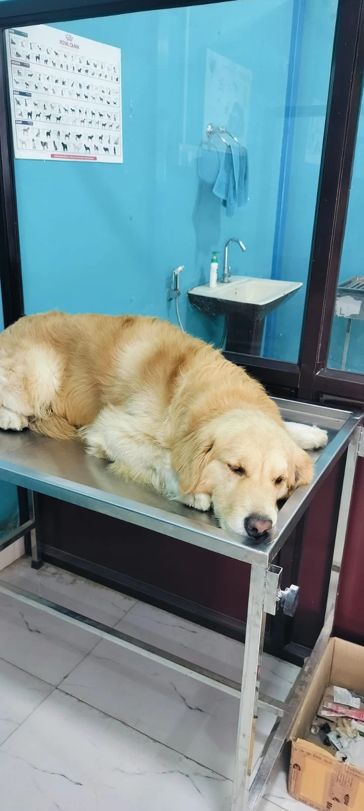 Clinic photo