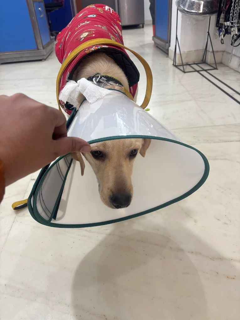 Clinic photo