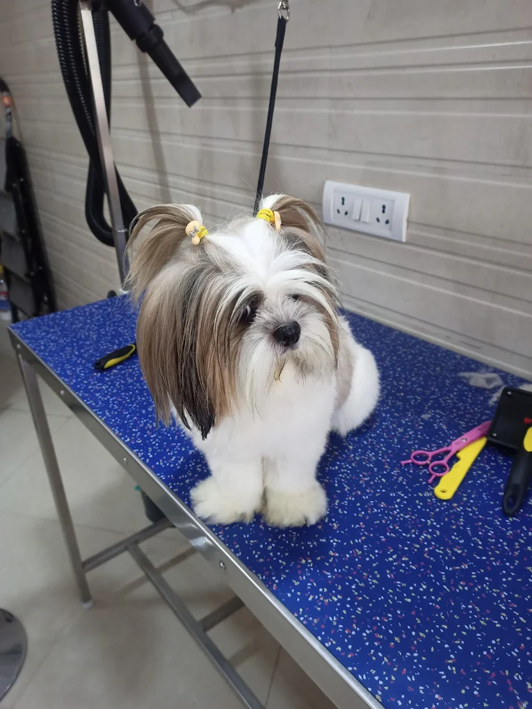 Clinic photo