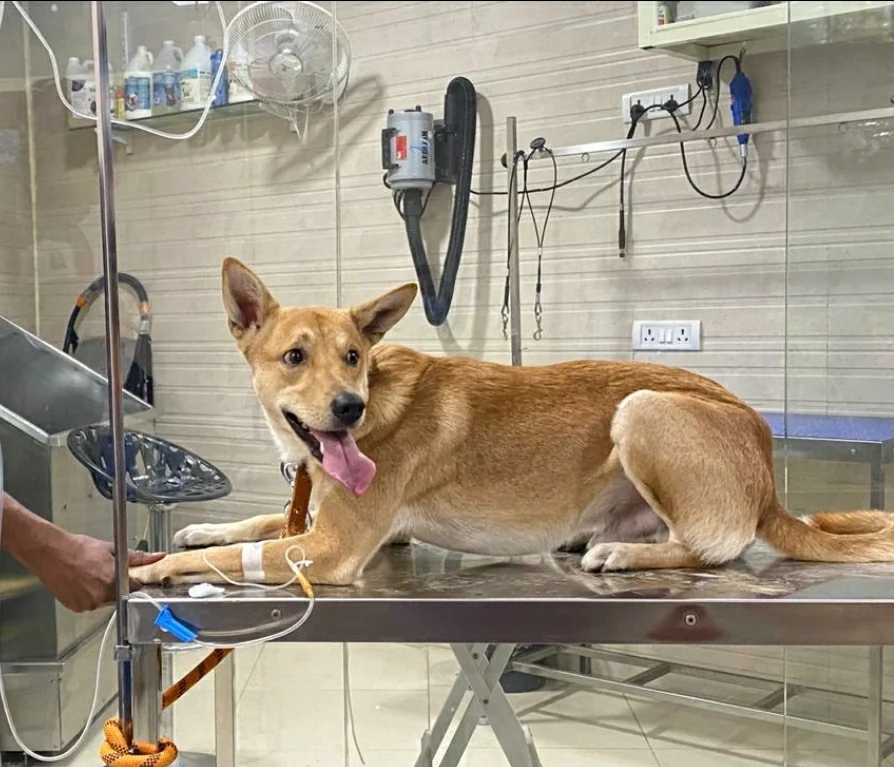 Clinic photo