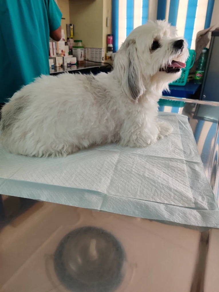 Clinic photo