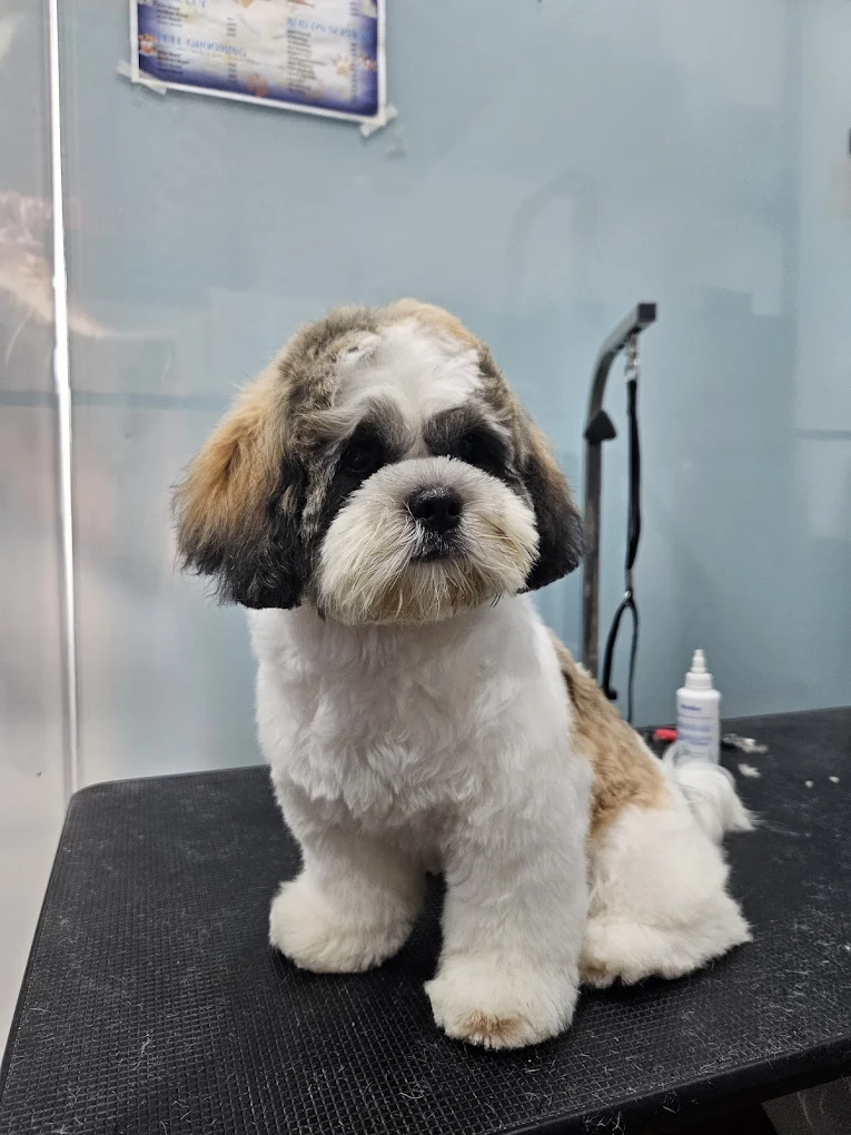 Clinic photo
