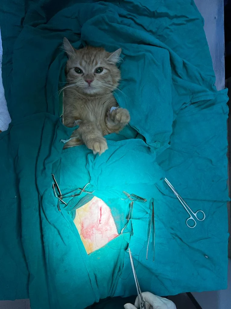 Clinic photo