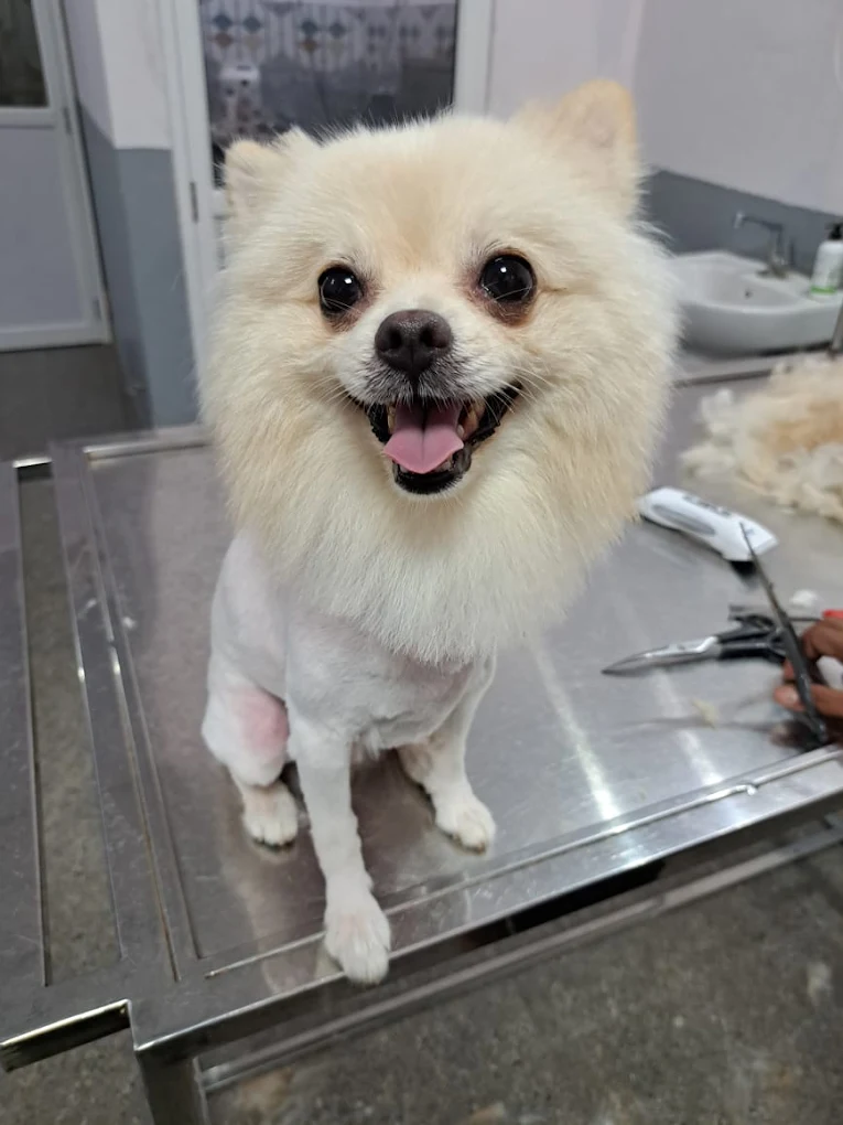 Clinic photo