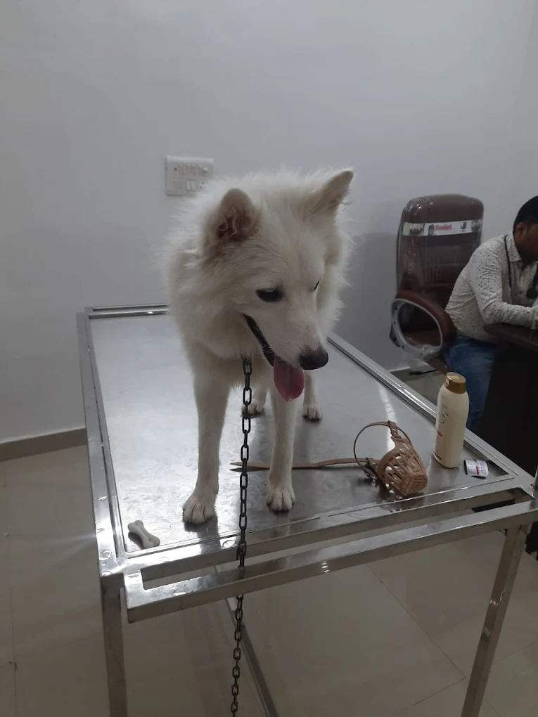 Clinic photo