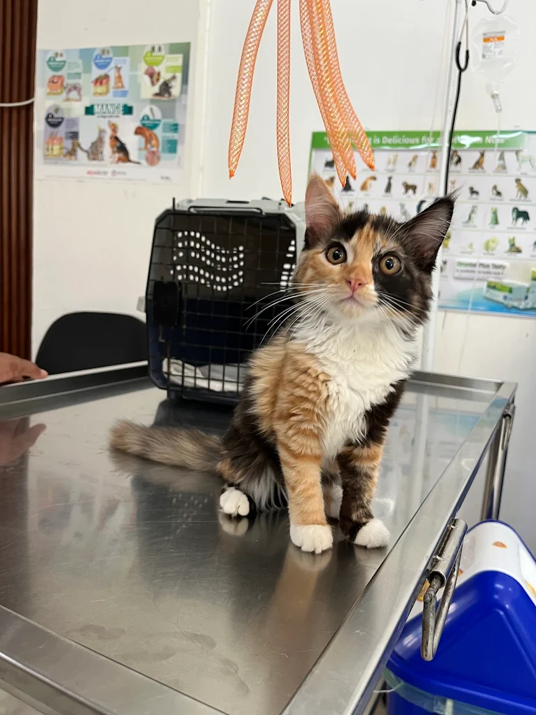 Clinic photo