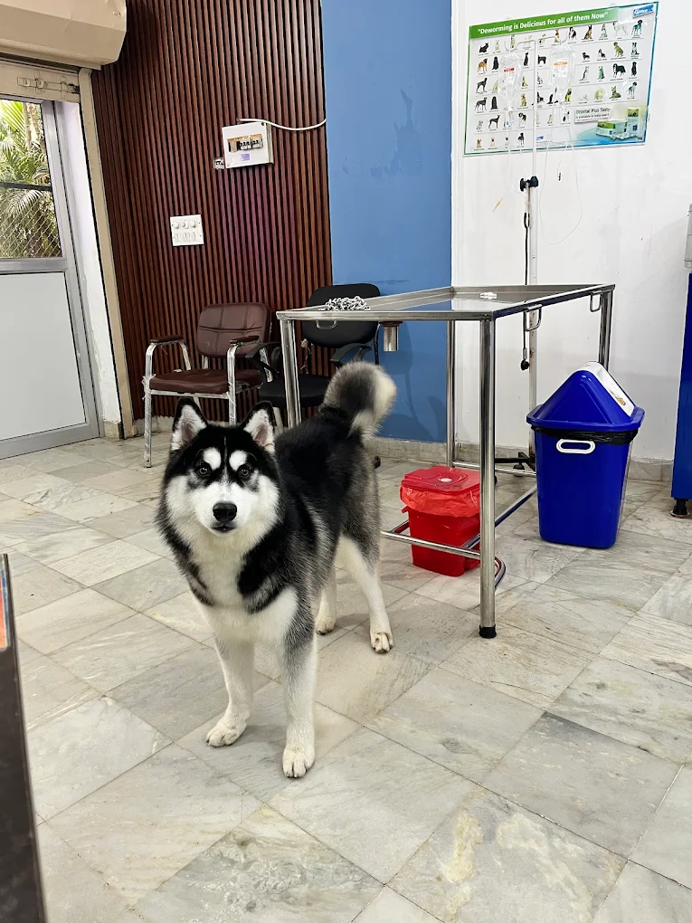 Clinic photo