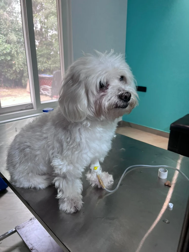 Clinic photo