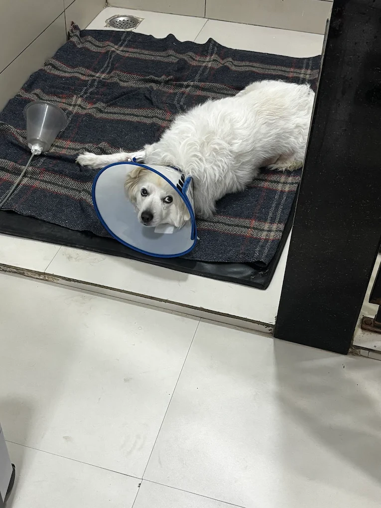 Clinic photo