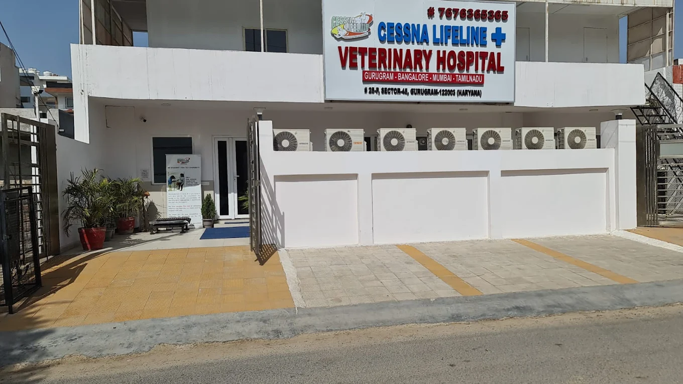 Clinic photo