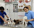 Clinic photo
