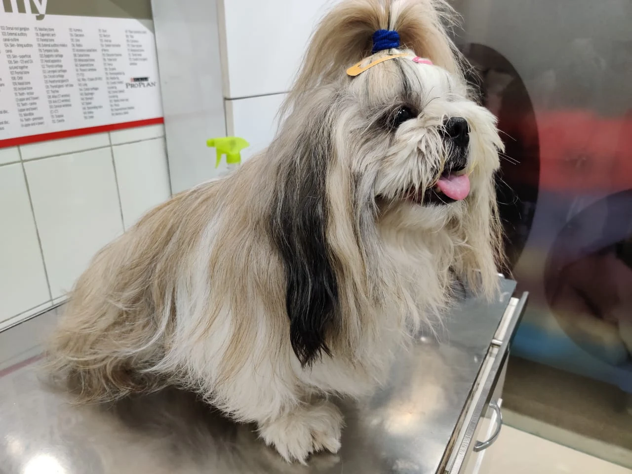 Clinic photo