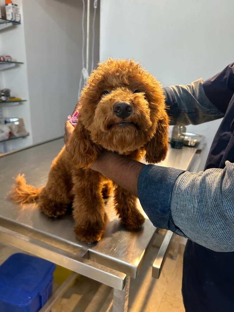 Clinic photo