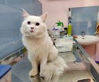 Clinic photo
