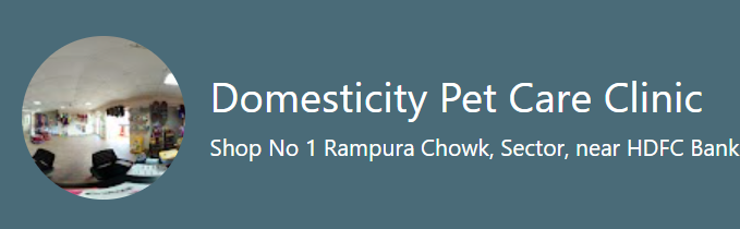 DPC PET CARE CLINIC (DOMESTICITY PET CARE CLINIC)