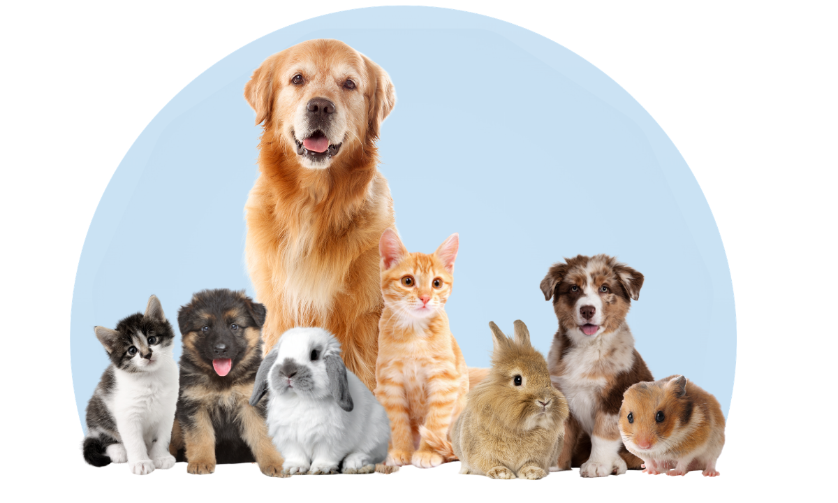 The Pet store & Care Centre Clinic