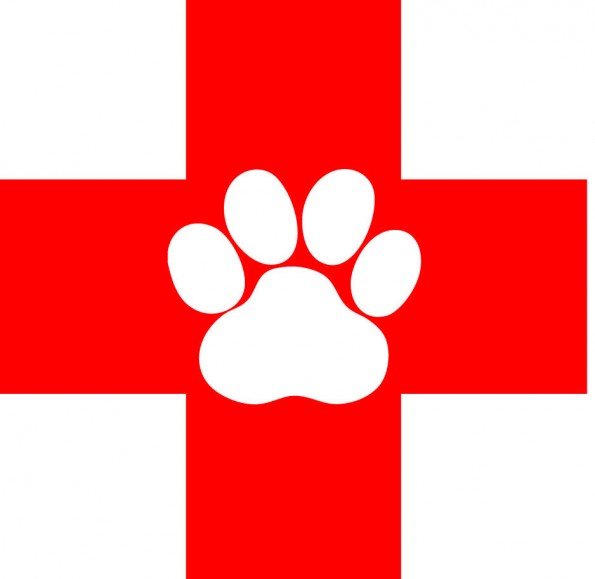 Dr. Ruhil's Pet Clinic