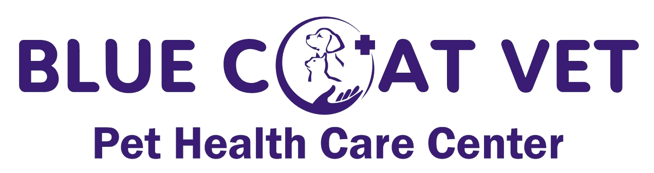 Blue Coat Vet Clinic | Trusted Pet Doctor in Sushant Lok | Pet Clinic | Vet Clinic | Vet Doctor in Sushant Lok