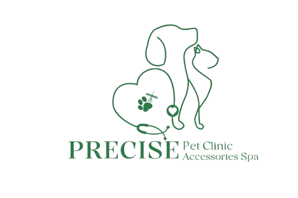 PRECISE PET CLINIC