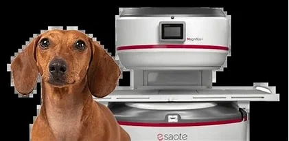 Pet Vet Hospital &Shopee