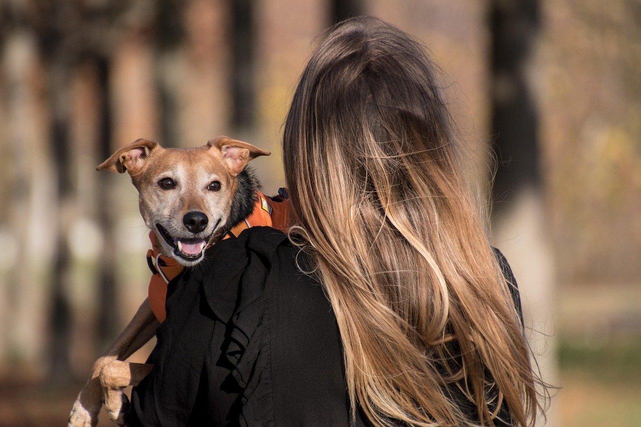 Vetlyf Pet Clinic & Healthcare