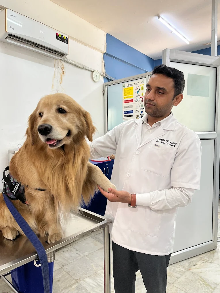 PRECISE PET CLINIC