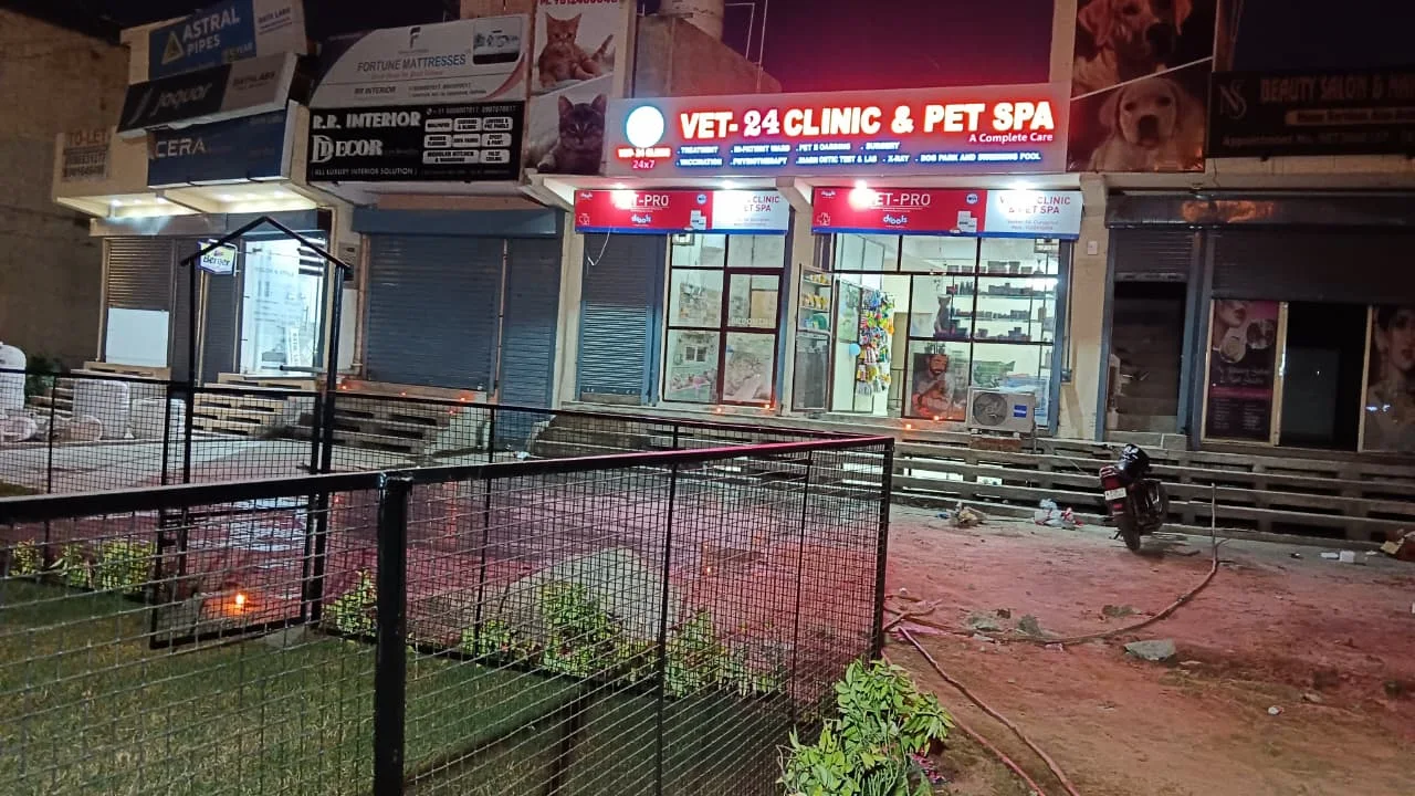 VET-24 CLINIC & PET SPA