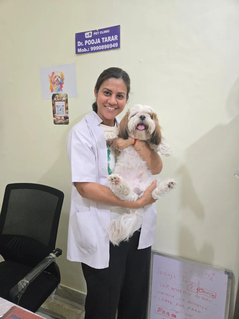 Dr.Pooja Pet clinic