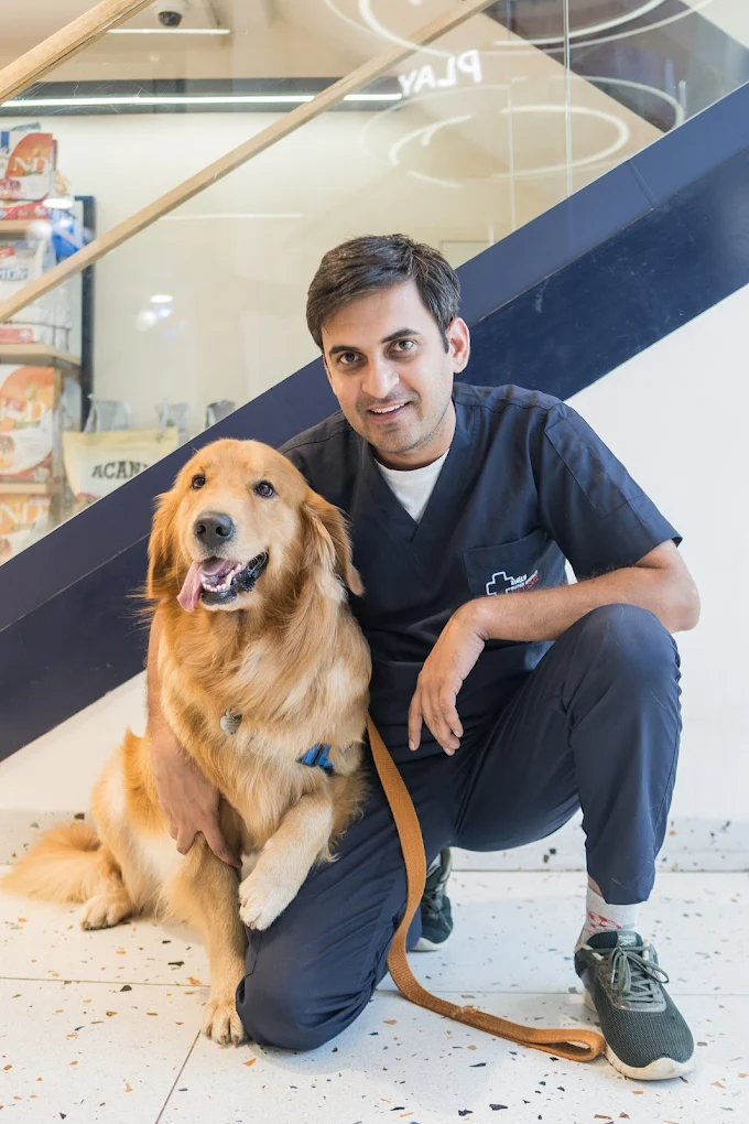 Zigly - Pet Hospital, Pet Grooming & Pet Products | AIPL, Sector-66, Gurgaon